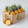 L’Ananas Victoria est considéré comme l’un des meilleurs ananas au monde. Cultivé sur les terres volcaniques de La Réunion